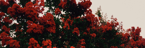 The Fashion Diaries Of Rose